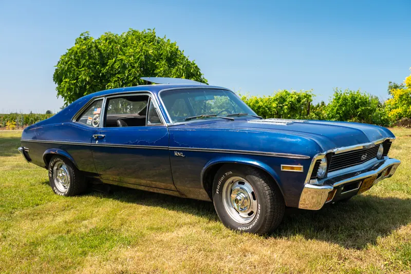 Dark blue two-door coupe parked on grass under trees, three-quarter front view